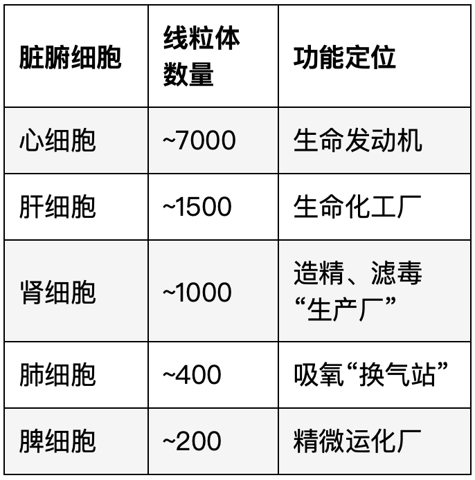 当代岐黄医理科学解读(十一):现代科学如何印证“肾主纳气”(图1) 当代岐黄医理科学解读(十一):现代科学如何印证“肾主纳气”(图1)