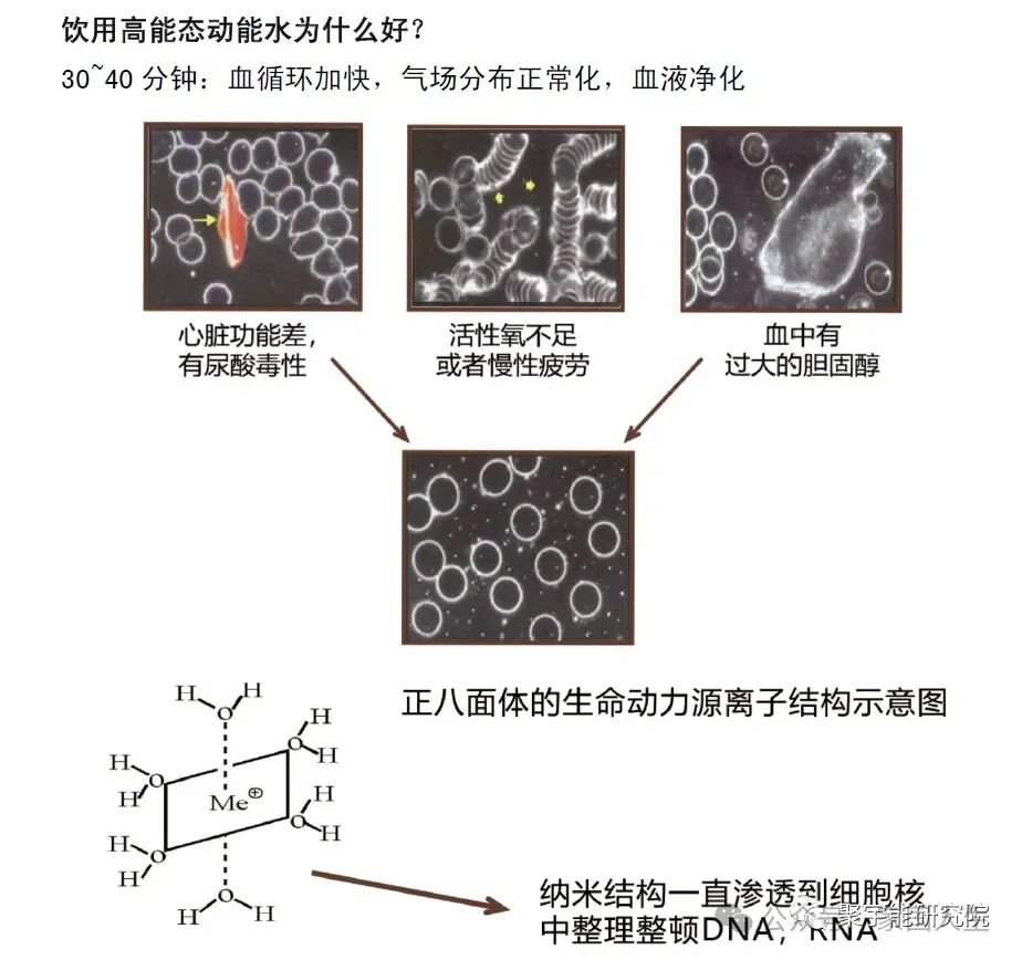 哈佛医学院研究公布的人类“长寿密码”是在步中国科学家金日光教授的后尘(图16) 哈佛医学院研究公布的人类“长寿密码”是在步中国科学家金日光教授的后尘(图16)