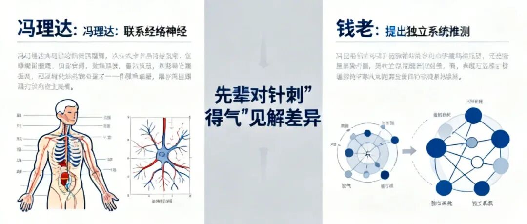 信手笔记(十):针刺“得气”到底是什么?从d电子到神经经络,解锁中医针刺的科学密码(图1) 信手笔记(十):针刺“得气”到底是什么?从d电子到神经经络,解锁中医针刺的科学密码(图1)
