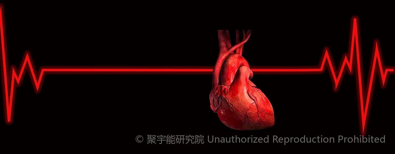 当代岐黄医理科学解读(二十六):心与肝的"生之本",藏在哪里?(图3) 1.jpg
