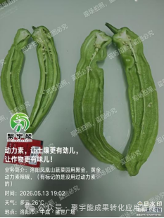 少用化肥也能优质高产?贵州辣椒田间试验,解锁绿色种植新方案(图9) 9.png