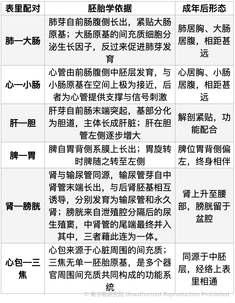 当代岐黄医理科学解读(二十七):六对表里脏腑的胚胎与几何之谜(图2) 1.png